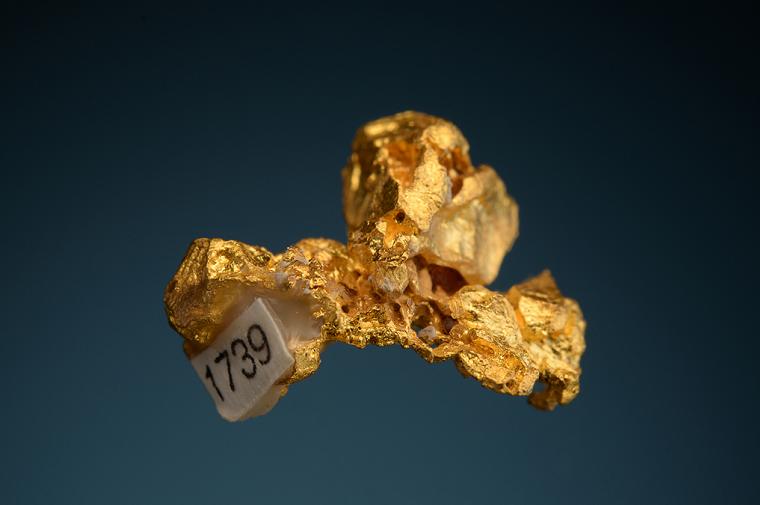 GOLD